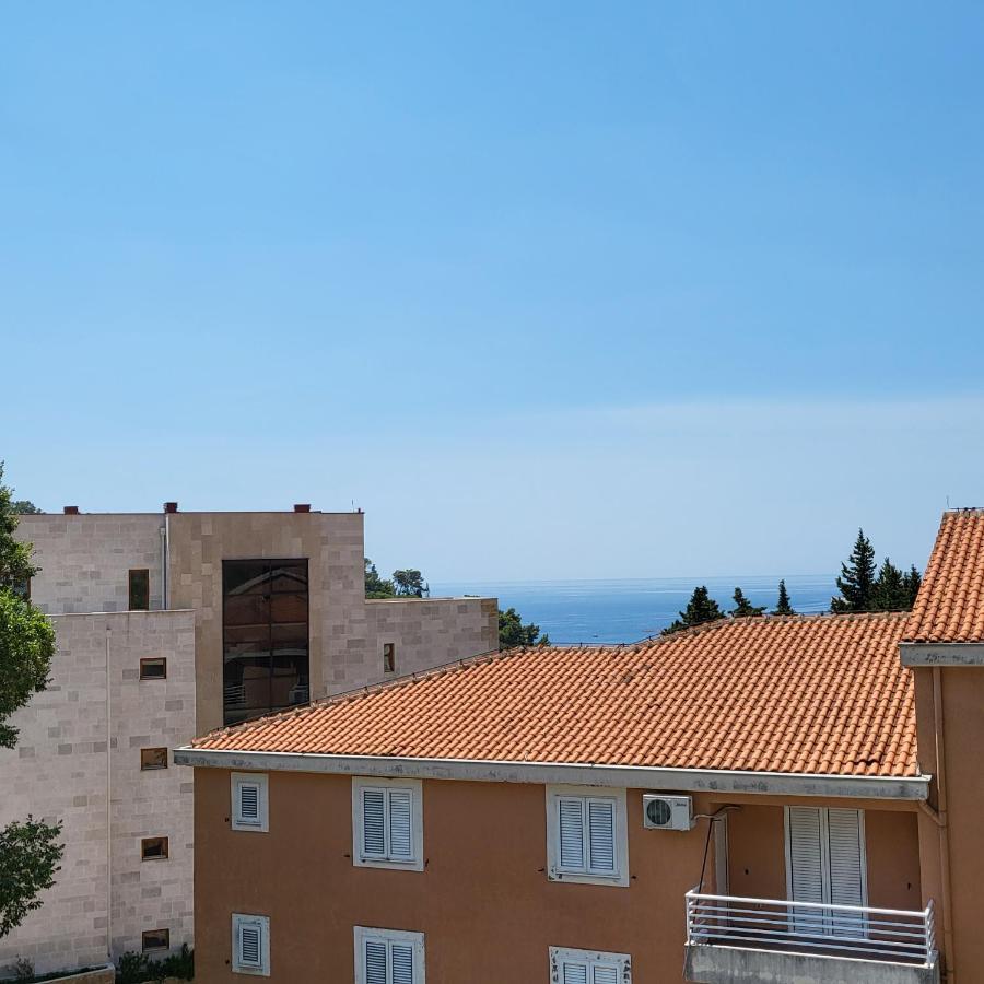 Apartmani Mia Sorajic Petrovac Ngoại thất bức ảnh